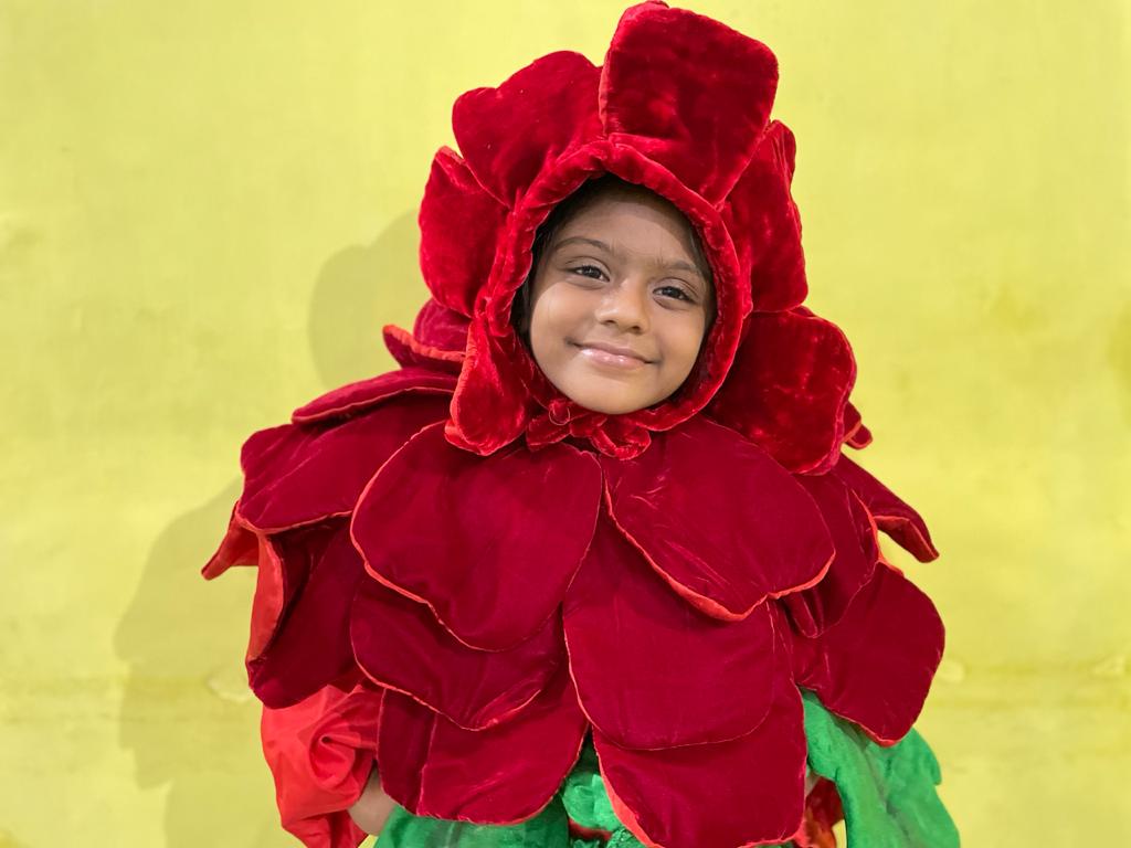 ITSMYCOSTUME Rose Flower Fancy Dress Costume at Rs 549/piece | Sector 57 |  Noida | ID: 27285039262